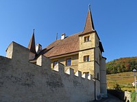 le château de Cressier, mur crénelé