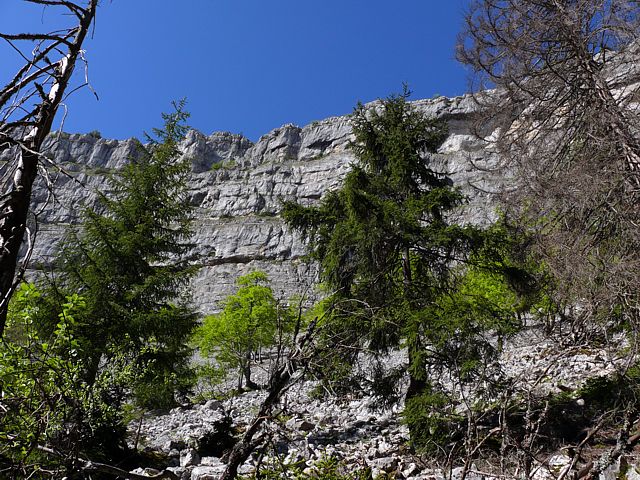 Les boulis du Creux du Van