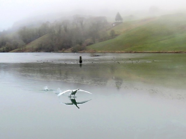 Lac de Biaufond