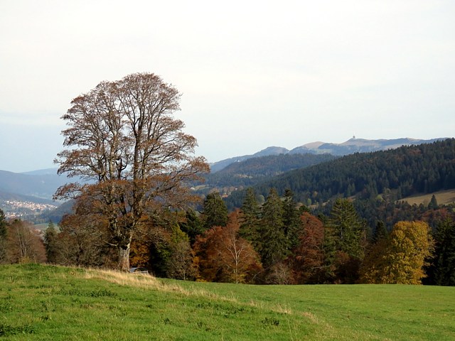 Le Mont-Sagne