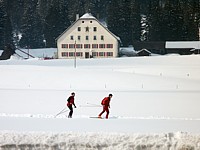 Ski de fond dans la vall�e de la Br�vine