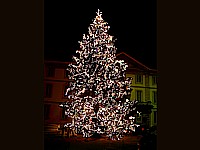 Sapin de Noël de Neuchâtel