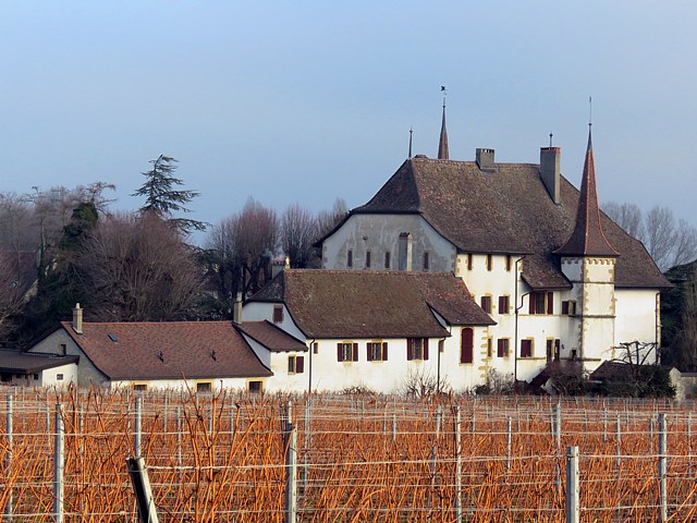Le château d'Auvernier
