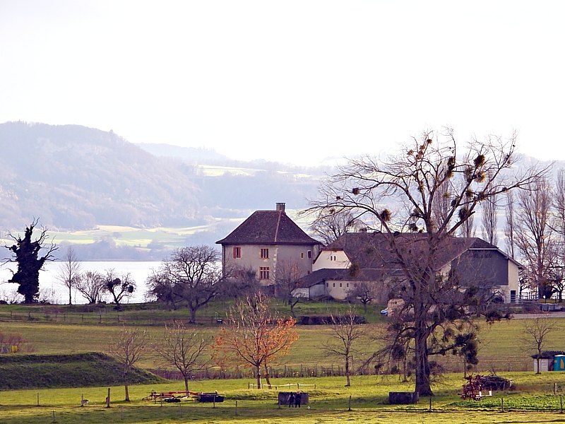 Abbaye de Bevaix, ct nord