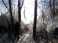 Forêt de glace à Areuse