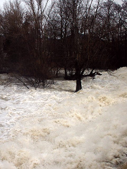 Areuse en crue  Boudry