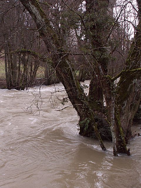 Areuse en crue  Boudry