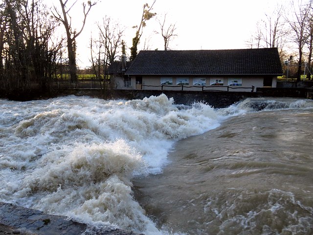 Areuse en crue  la pisciculture