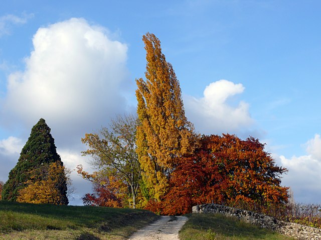 Couleurs automnales