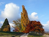 couleurs d'automne