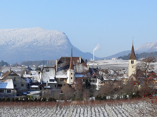 Auvernier en hiver
