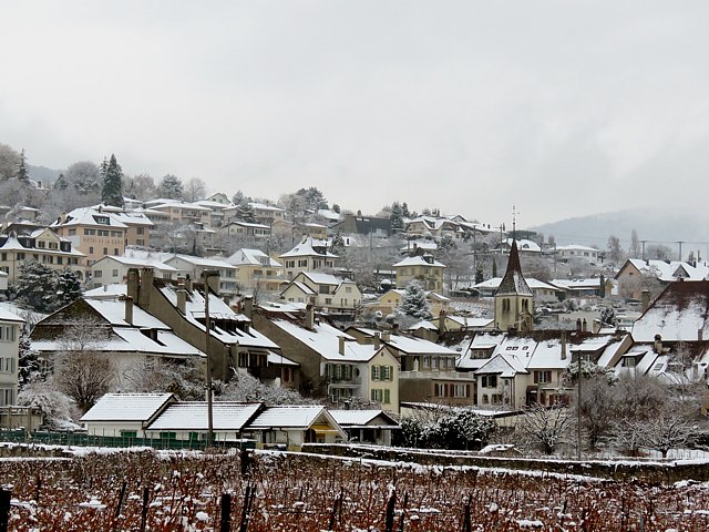 Auvernier sous la neige