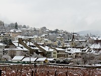 Auvernier sous la neige