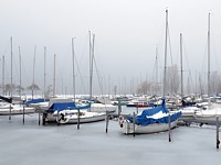 Port d'Auvernier en hiver