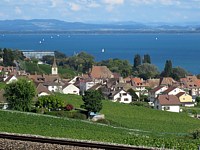 Auvernier et son vignoble