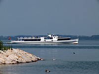 le bateau cygne à Vaumarcus