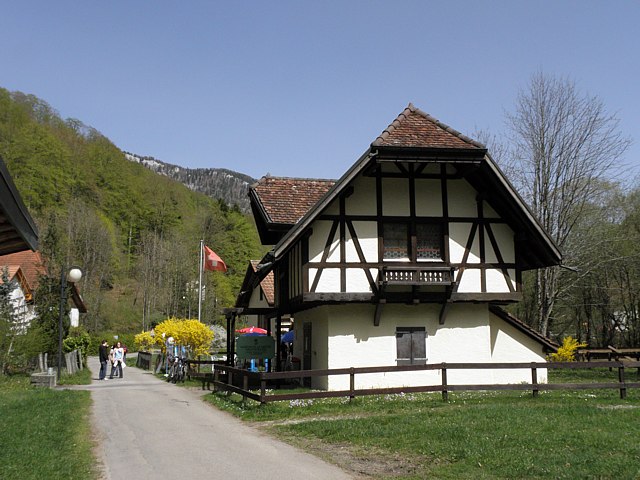 La morille  Champ-du-Moulin