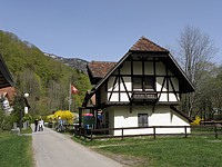 La morille à Champ-du-Moulin
