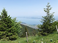 La Chaille