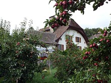 Habitation aux Métairies