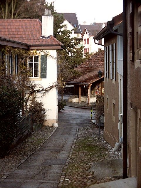 La chaussée romaine de Colombier