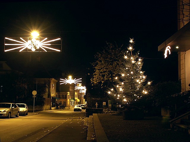 Sapin de Nol  Colombier