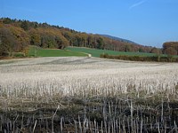 Champ au-dessus de Corcelles