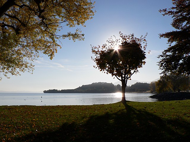 Plage de Cortaillod