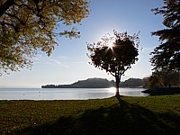 La plage de Cortaillod à l'arrière saison