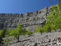 Eboulis du Creux du Van
