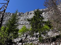 Eboulis du Creux du Van