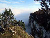 Petite Ecoeurne