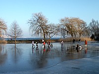 Etang gelé à Colombier