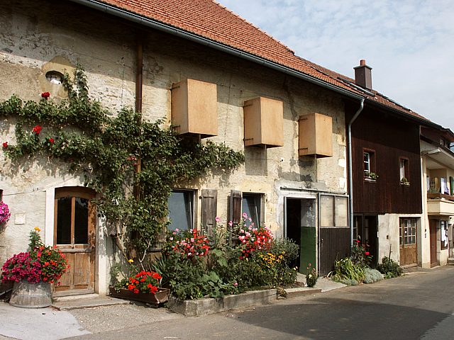 De vieilles btisses fleuries