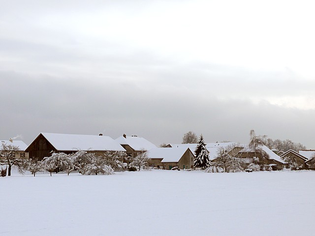 Fresens en Hiver