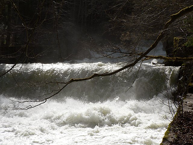 Chute de l'Areuse dans les gorges