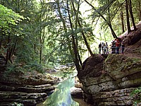 Une nature féerique