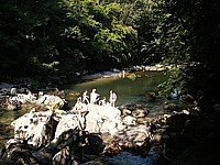 Baignade dans les gorges de l'Areuse
