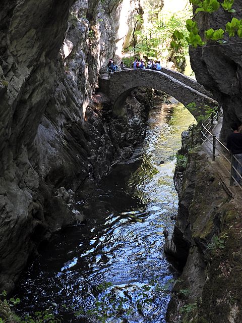 Pont dans les gorges de l'Areuse