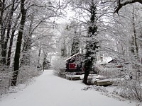 Entre Robinson et Colombier