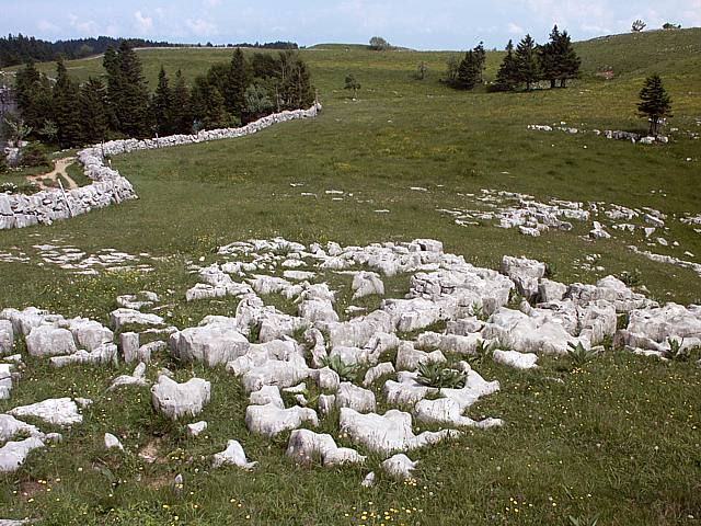 Lapiez au Creux du Van