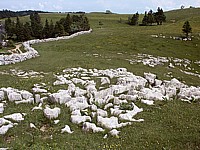 Lapiez du Creux-du-Van
