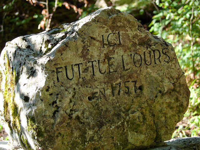 Pierre de l'ours du Creux-du-Van