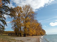 Plage entre Cortaillod et Bevaix