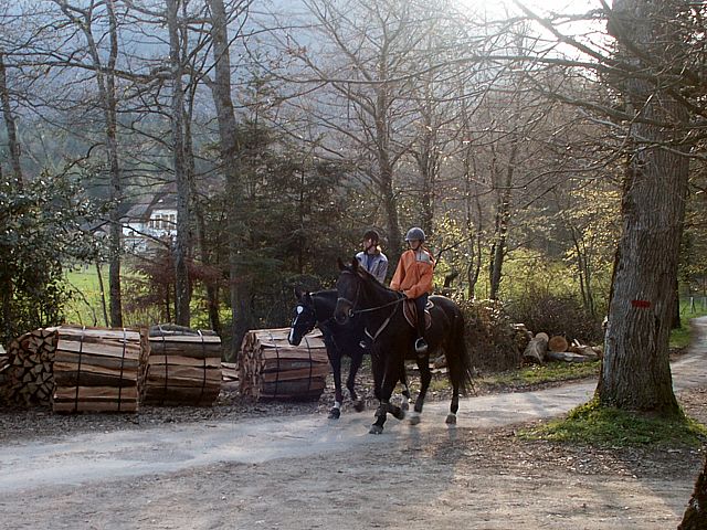 Promenade  cheval