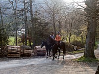 Promenade à cheval