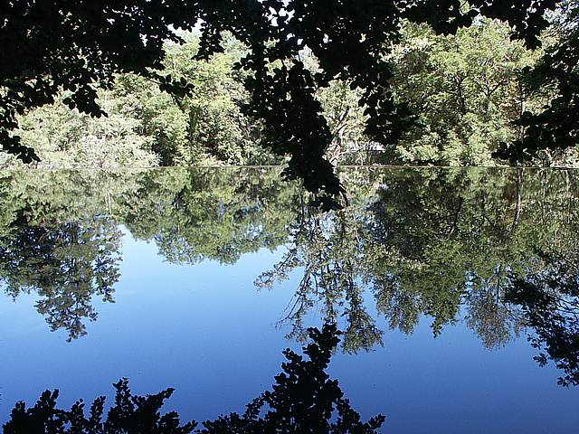 Le miroir de l'Areuse