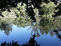 Le miroir de l'Areuse