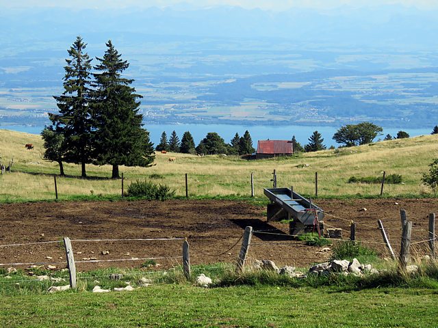Vue de la Roche Devant