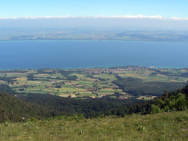 Vue  la Roche Devant